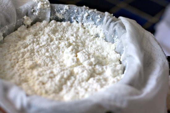 Ricotta BIO